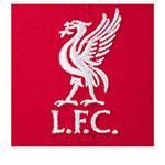 Бейсболка NEW ERA арт. 60793052 Liverpool FC EPL (красный)